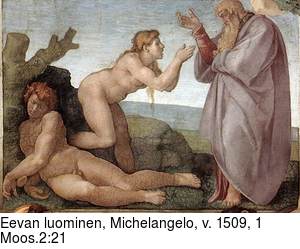Eevan luominen, Michelangelo, v. 1509, 1 Moos.2:21
