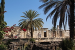 Kapernaumin synagoga, paikka, jossa Jeesuskin kvi