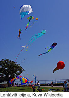 Lentvi leijoja, Kuva Wikipedia
