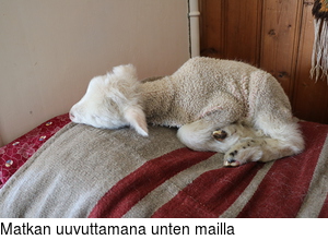 Matkan uuvuttamana unten mailla