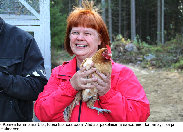 - Komea kana tm Ulla, totesi Eija saatuaan Vihdist pakolaisena saapuneen kanan sylins ja mukaansa.