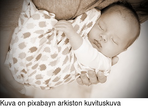 Kuva on pixabayn arkiston kuvituskuva