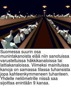 Suomessa suurin osa munintakanoista el niin sanotuissa varustelluissa hkkikanaloissa tai lattiakanaloissa. Viimeksi mainituissa kanoja on samassa tilassa tuhansista jopa kahteenkymmeneen tuhanteen. Yhdelle nelimetrille niiss saa sijoittaa enintn 9 kanaa.